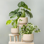 G EPGardening Ceramic Plant Pots - Image 7