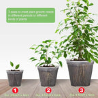 GREENPARA Transparent Plastic Planter 4/5 /6 inch Plant Nursery Pots - Image 6