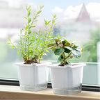 FAMZ Self Watering Pots for Indoor Plants 3 Pack，Clear Plant Pots - Image 8