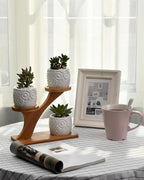 FLOWERPLUS Planter Pots Indoor, 3 Pack 3 Inch White Ceramic Decorative Small - Image 6