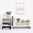 Gepege Succulent Pots, 4 Inch Small Indoor Ceramic Planter Pot - Image 6
