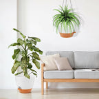 GARDIFE Large Hanging Planter, 12 inch Hanging planters - Image 4