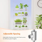 Lifewit 2-Tier Window Plant Shelves 15", Acrylic Adjustable Hanging Floating - Image 6