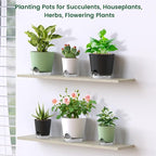 6 inch Self Watering Pots for Indoor Outdoor Plants, 3 Pack Flower Plant Pots - Image 7