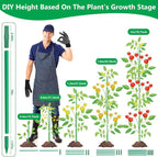 Lezmarket 60 Pack Garden Tomato Stakes, Plant Support Stakes, DIY 4ft 5ft 6ft - Image 3