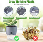 6 Inch Self Watering Pots for Indoor Plants, 6 Pack Grey Plastic Flower Pots - Image 4