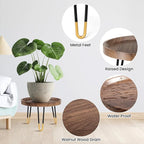 Plant Stand Indoor Outdoor, Mid Century Style Walnut Wood Color Plant Stand - Image 4