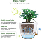 12inch 2Pack Large Self Watering Planters, Plastic Plant Pots - Image 3