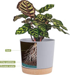 QCQHDU 6.5 inch Plant Pot, 2 Pack Planters - Image 4