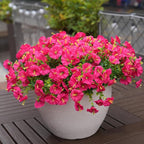 Artificial Flowers for Outdoors, UV Resistant Fake Silk Morning Glory, - Image 7
