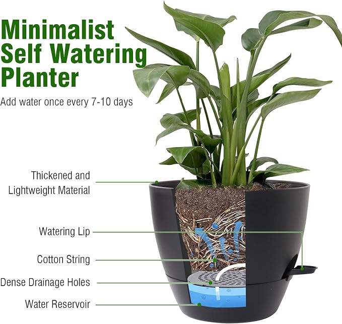 8 inch Self Watering Pots, 2 Pack Plastic Planters - Image 5