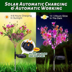 Neporal Garden Solar Lights Outdoor Waterproof IP65, 2PK Phalaenopsis Solar - Image 3