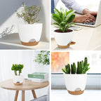 Self Watering Planters with Drainage Holes Reservoir, Nursery Planting Pot - Image 7