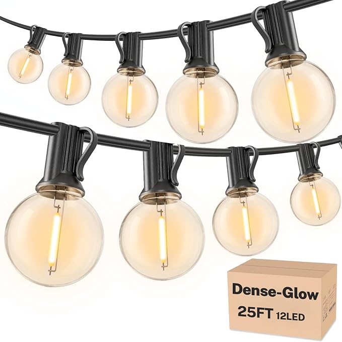 RTTY Dense-Glow Outdoor String Lights 25ft, G40 Led Patio Globe Lights by RTTY