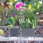 FAMZ Self Watering Pots for Outdoor Plants 4 Pack, Suitable for Indoor and - Image 2