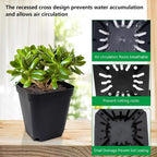 Square Nursery Pots 3.54Inches 90 Pcs Seedling Flower Post Plastic Thick Seed - Image 4