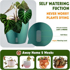 Self Watering Pots for Indoor Plants, Small African Violet Pots - Image 3