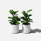 Veradek Demi Series Round Planter - Image 9