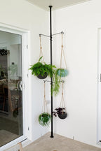 Tension Rod Plant Stand, Plant Poles - Image 4