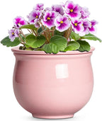 African Violet Pots, 6 Inch Ceramic Easy Self Watering Pots by Teagas