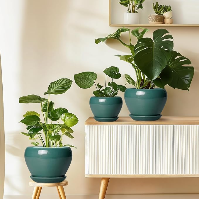 Ceramic Planter for Indoor Plants 10 Inch - Image 8