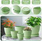 7.5/6.5/5.5/4.9/4.2/3.5 Inch Plant Pots - Image 6