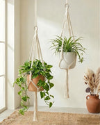 Bamworld Macrame Plant Hanger Indoor Hanging Planter by Bamworld