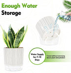 Self Watering Pots for Indoor Plants, 6 & 5 & 4 Inch Stylish Flower Pots - Image 4