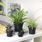 T4U 7.5 Inch Plant Pots 6 Pcs, Flower Pots - Image 5