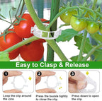 250 Pcs Tomato Clips, Plant Support Clips and J Tomato Hooks, Plastic Trellis - Image 2