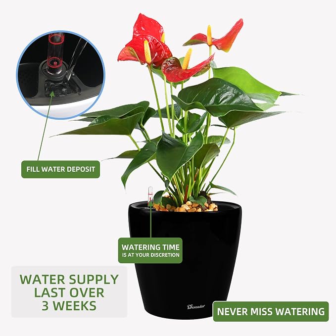 Dexceder 18x17 Self Watering Planter - Image 5