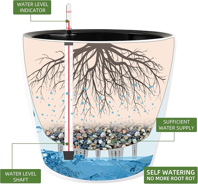 Dexceder 13x12 Self Watering Planter - Image 2
