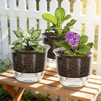 Self Watering Pots, 3 Pack 6.5/5/4 Inch Clear Plant Pot Self Watering Planter - Image 5