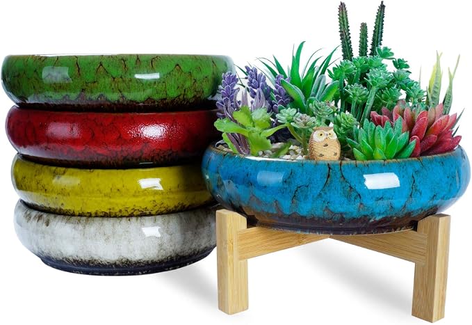 Succulent Pots - Large Succulent Planters Pots - Image 7