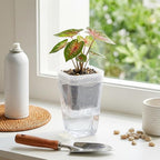 2.5 Inch Mini Self Watering Pots - Image 3