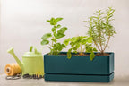 D'vine Dev 12 Inch Window Box Planter, Rectangle Plastic Herb Planter - Image 8