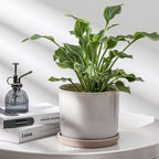 8 Inch Plant Pot: Ceramic Planter - Image 5