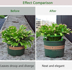 12 Packs Plant Support Stakes, Plant Support - Image 2
