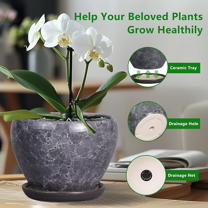 Ceramic Planter - Image 5