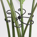 Monstera Plant Support Hook by Yohsnor