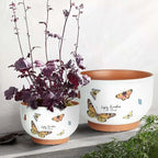 YBX 8 Inch + 6 Inch Terracotta Plant Pots, Flower Pots - Image 4
