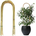 20 Pack Bamboo U Trellis for Potted Plants by Unknown