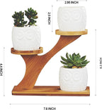 FLOWERPLUS Planter Pots Indoor, 3 Pack 3 Inch White Ceramic Decorative Small - Image 2