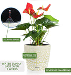 Dexceder 11x10 Inches Self Watering Planter Indoor Outdoor, Inner Pot Design - Image 5