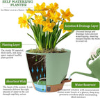 Self Watering Pots for Inoor Ourdoor Plants 10/9/8/7/6.5 Inch Plastic Planters - Image 7