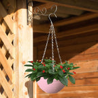 8 Pack 8 Inch Plastic Self Watering Hanging Planters, Colorful Hanging Basket - Image 7