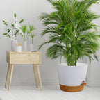 12 inch Large Self Watering Pots - Image 7