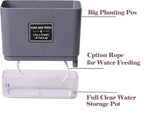 FAMZ Self Watering Pots for Outdoor Plants 4 Pack, Suitable for Indoor and - Image 4