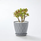FaithLand 6-Pack 6-Inch Plastic Plant Pots - Image 7