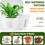 Self Watering Pots for Indoor Plants, Small African Violet Pots - Image 4